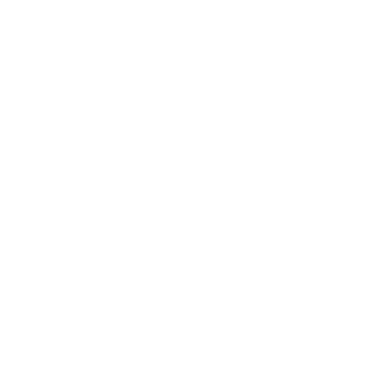 Lucas Fuzato Transportes